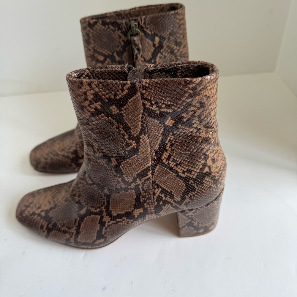 Splendid Brown Leather Python Print Heather Lii A… - image 6